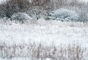 BUITEN BEELD Foto: 114865