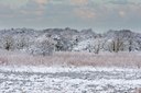 BUITEN BEELD Foto: 114868