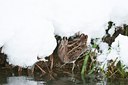 BUITEN BEELD Foto: 114881