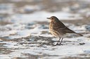 BUITEN BEELD Foto: 114904