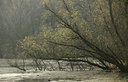 BUITEN BEELD Foto: 114972
