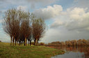 BUITEN BEELD Foto: 114985