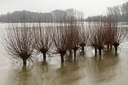 BUITEN BEELD Foto: 114993
