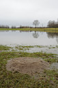 BUITEN BEELD Foto: 114999