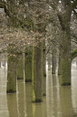 BUITEN BEELD Foto: 115015