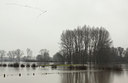 BUITEN BEELD Foto: 115019
