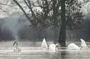 BUITEN BEELD Foto: 115025
