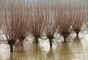 BUITEN BEELD Foto: 115033