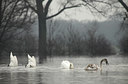 BUITEN BEELD Foto: 115046