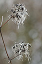 BUITEN BEELD Foto: 115071