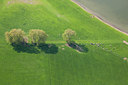 BUITEN BEELD Foto: 115117
