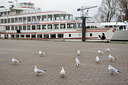 BUITEN BEELD Foto: 115130