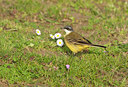 BUITEN BEELD Foto: 115134