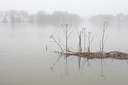 BUITEN BEELD Foto: 115149