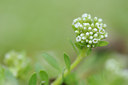 BUITEN BEELD Foto: 115183