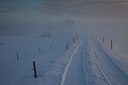 BUITEN BEELD Foto: 115231