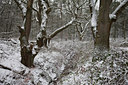 BUITEN BEELD Foto: 115244