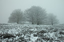 BUITEN BEELD Foto: 115248