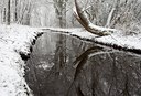 BUITEN BEELD Foto: 115254