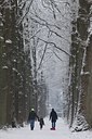 BUITEN BEELD Foto: 115277