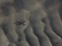 BUITEN BEELD Foto: 115299