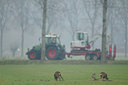 BUITEN BEELD Foto: 115335