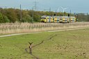 BUITEN BEELD Foto: 115407