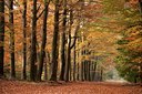BUITEN BEELD Foto: 115408