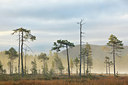 BUITEN BEELD Foto: 115413