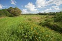 BUITEN BEELD Foto: 115456