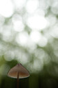 BUITEN BEELD Foto: 115503