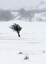 BUITEN BEELD Foto: 115528