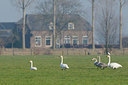 BUITEN BEELD Foto: 115680