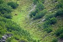 BUITEN BEELD Foto: 115729