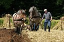 BUITEN BEELD Foto: 115890