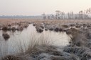 BUITEN BEELD Foto: 115898