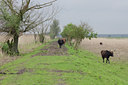 BUITEN BEELD Foto: 115927