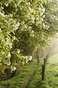 BUITEN BEELD Foto: 115975
