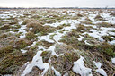 BUITEN BEELD Foto: 115984