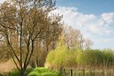 BUITEN BEELD Foto: 116016