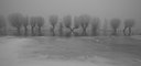 BUITEN BEELD Foto: 116022