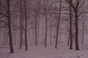 BUITEN BEELD Foto: 116024