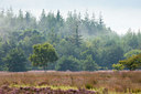 BUITEN BEELD Foto: 116114