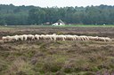 BUITEN BEELD Foto: 116297