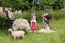 BUITEN BEELD Foto: 116355