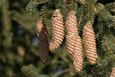 BUITEN BEELD Foto: 116430