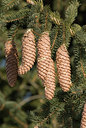 BUITEN BEELD Foto: 116431