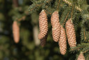 BUITEN BEELD Foto: 116435