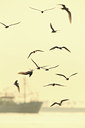 BUITEN BEELD Foto: 116504