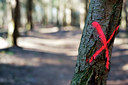 BUITEN BEELD Foto: 116514